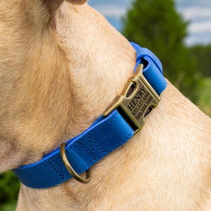 Personalized Dog Collar, Leather Pet Collars, Dog Accessories, Brass Hardware Sapphire Blue