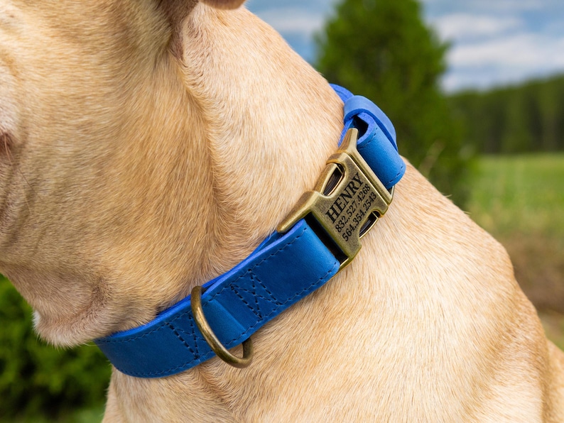 Personalized Dog Collar, Leather Pet Collars, Dog Accessories, Brass Hardware Sapphire Blue