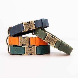 May include: A stack of four pet collars in navy blue, orange, dark green, and olive green. Each collar features a brass-toned metal side-release buckle engraved with names like Wilson, Oscar, and Katie, along with phone numbers and text.