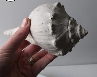 Large Sea Shell, Concrete Ocean Shell, Modern Art Contemporary Décor Beach House Garden Art, Nautical Decor, Heavy Solid Cement, Hand Made