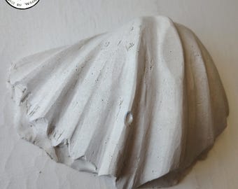 Wavy Clam Shell, Concrete Ocean Shell, Modern Art Contemporary Décor Beach House Garden Art, Nautical Decor, Heavy Solid Cement, Hand Made