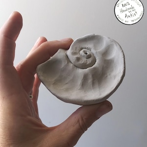 May include: A white ceramic sculpture of a spiral shell. The sculpture is handmade by an artist and is a unique piece of art.