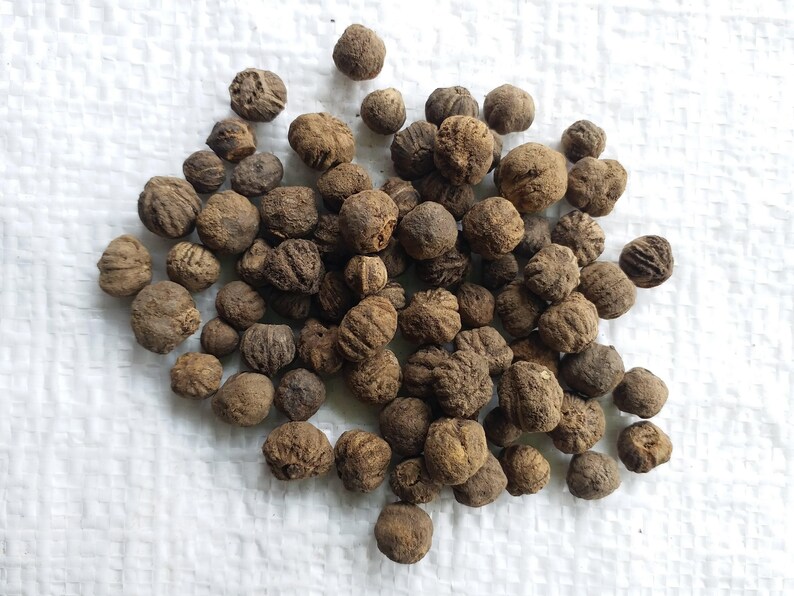 Pu&ograve; includere: Una collezione di piccoli semi rotondi e marroni con una superficie ruvida e striata. Ogni seme presenta un aspetto distintamente rugoso con solchi profondi che corrono lungo l'esterno. I semi sono raggruppati in un mucchio irregolare.
