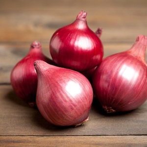 Oltre 50 semi di cipolla rossa selezionati, Allium cepa, cipolla a bulbo rosso, cipolla viola immagine 2