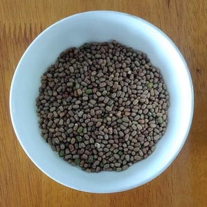 Puede incluir: Un cuenco de cer&aacute;mica blanca lleno de una gran cantidad de peque&ntilde;as semillas de frijol polilla secas de forma ovalada. Las semillas presentan un aspecto moteado con tonos marrones, bronceados y toques ocasionales de color verde.