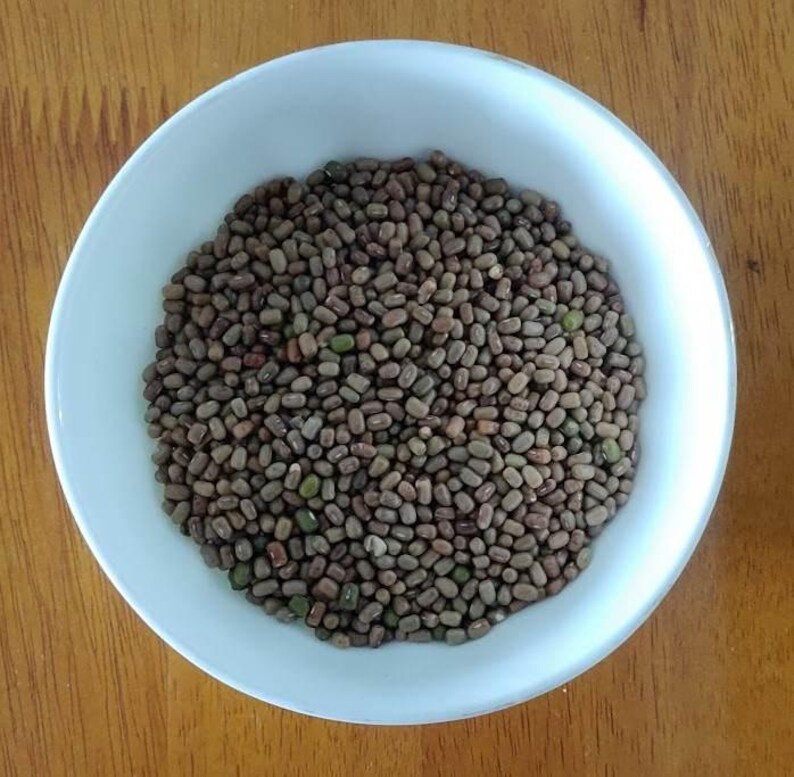 Puede incluir: Un cuenco de cer&aacute;mica blanca lleno de una gran cantidad de peque&ntilde;as semillas de frijol polilla secas de forma ovalada. Las semillas presentan un aspecto moteado con tonos marrones, bronceados y toques ocasionales de color verde.
