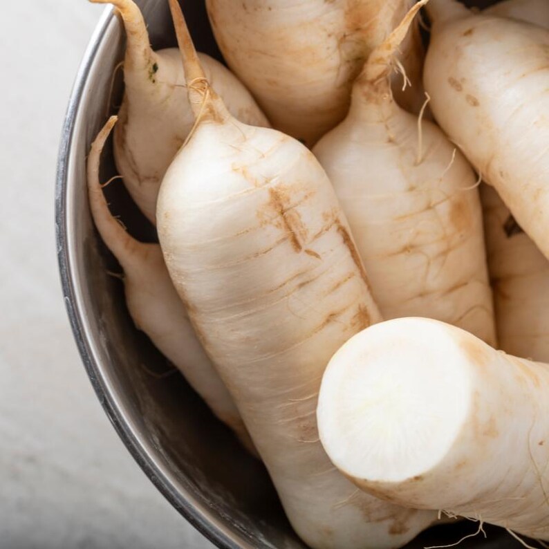 Oltre 100 semi di ravanello bianco (ravanello daikon), Raphanus sativus, Crucifere immagine 9