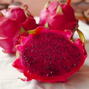 50-100 Red Dragon Fruit Seeds, Red Flesh Pitaya, Hylocereus polyrhizus, Exotic Tropical Cactus image 5