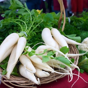 Oltre 100 semi di ravanello bianco (ravanello daikon), Raphanus sativus, Crucifere immagine 1