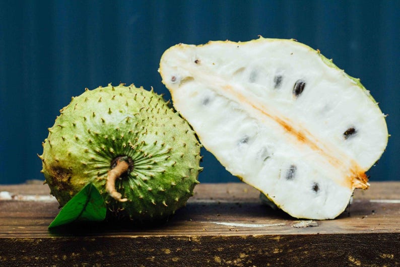 Peut inclure: Un corossol entier vert &agrave; l'ext&eacute;rieur &eacute;pineux avec une feuille verte &agrave; c&ocirc;t&eacute; d'un corossol coup&eacute; en deux r&eacute;v&eacute;lant une chair blanche fibreuse et des graines brun fonc&eacute;. Le fruit est pos&eacute; sur une surface en bois sombre devant un fond bleu.