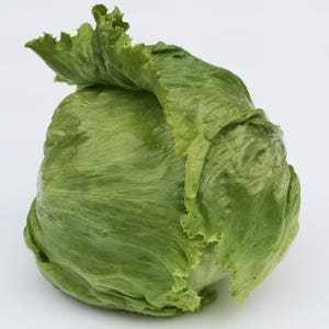 Puede incluir: Una lechuga iceberg entera con hojas crujientes, apretadas y de color verde claro a medio. Las hojas exteriores est&aacute;n ligeramente onduladas y rizadas en los bordes, mostrando una textura natural y fresca con venas visibles.