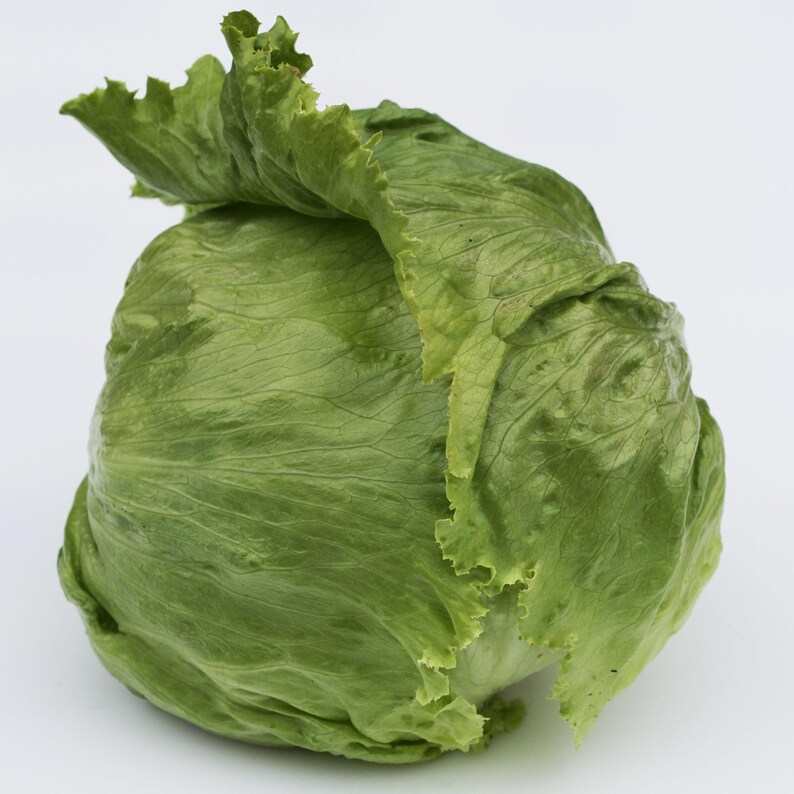 Puede incluir: Una lechuga iceberg entera con hojas crujientes, apretadas y de color verde claro a medio. Las hojas exteriores est&aacute;n ligeramente onduladas y rizadas en los bordes, mostrando una textura natural y fresca con venas visibles.