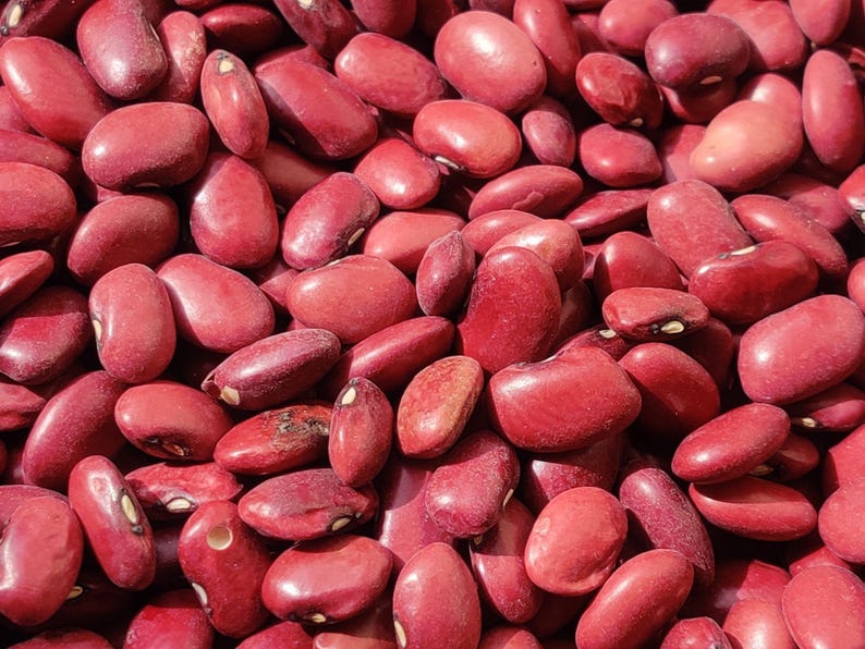 May include: A large collection of dried kidney beans, each featuring a smooth, deep red surface and a distinct, small white hilum. The beans are oval-shaped and vary slightly in size, creating a dense, textured pattern of red across the frame.