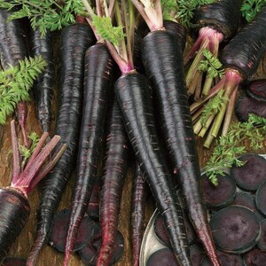 Puede incluir: Una colecci&oacute;n de zanahorias negras enteras con hojas verdes vibrantes, junto con varias rodajas transversales de las mismas zanahorias de color negro viol&aacute;ceo, mostrando su color profundo y su estructura de ra&iacute;z c&oacute;nica.
