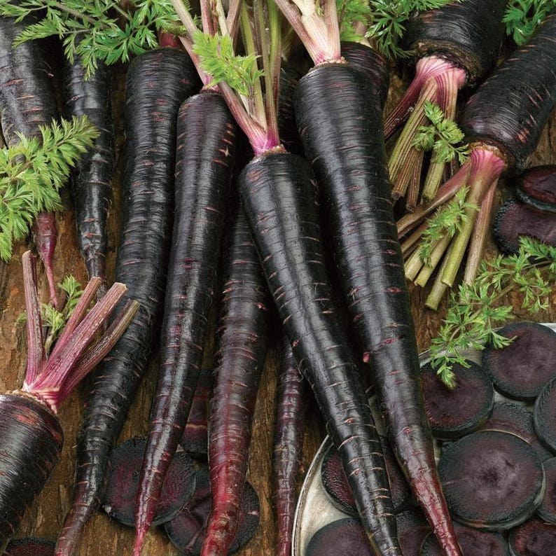 Puede incluir: Una colecci&oacute;n de zanahorias negras enteras con hojas verdes vibrantes, junto con varias rodajas transversales de las mismas zanahorias de color negro viol&aacute;ceo, mostrando su color profundo y su estructura de ra&iacute;z c&oacute;nica.
