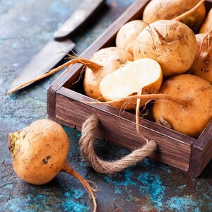 Über 100 Samen der Russischen Goldrübe (Brassica rapa, Petrovsky-Wurzelgemüse). Bild 4