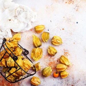 Más de 30 semillas de uchuva, Physalis peruviana, grosella del Cabo, fruto amarillo imagen 8