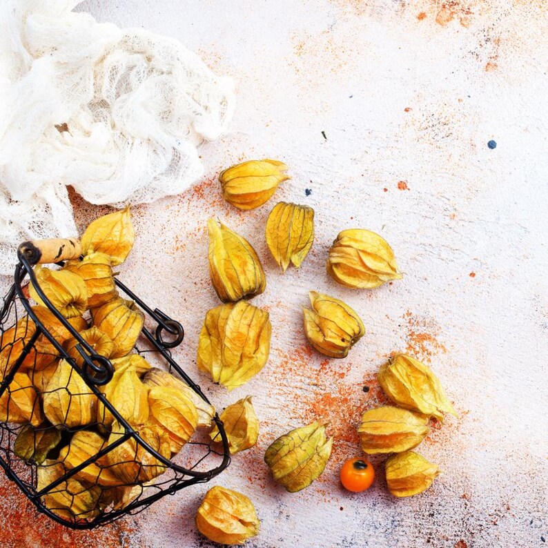 Más de 30 semillas de uchuva, Physalis peruviana, grosella del Cabo, fruto amarillo imagen 8