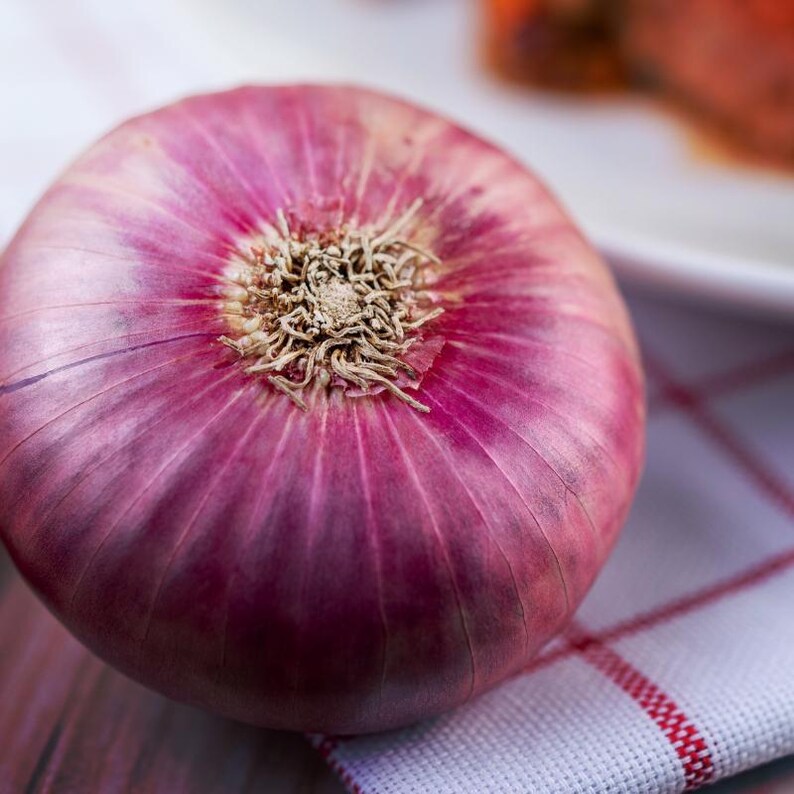 Oltre 50 semi di cipolla rossa selezionati, Allium cepa, cipolla a bulbo rosso, cipolla viola immagine 4