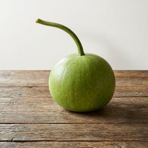 Op de afbeelding: Een ronde, lichtgroene kalebas met een glad, gespikkeld oppervlak en een lange, slanke, gebogen steel die aan de bovenkant uitsteekt. De kalebas vertoont subtiele variaties in de groene tint en heeft een stevig, bolvormig lichaam.