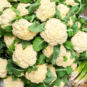 Meer dan 100 zaden van sneeuwbolbloemkool, Brassica oleracea, Kruisbloemigen afbeelding 3