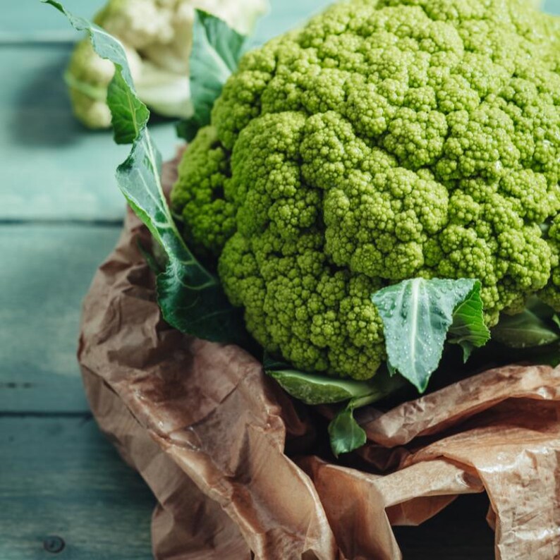 Über 100 grüne Blumenkohl-Brokkoli-Samen, Brassica oleracea, grüner Blumenkohl, Brokkoli-Gemüse Bild 6