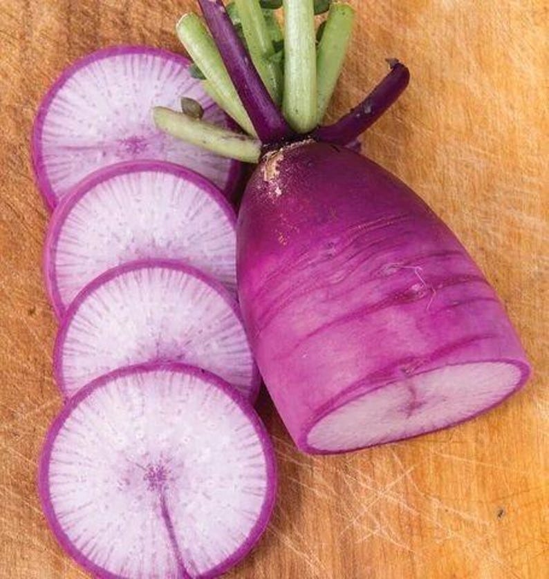 Puede incluir: Un r&aacute;bano daikon morado con tallos verdes, que presenta una pieza grande y cuatro rodajas circulares finas. La piel exterior es de un color morado intenso y vibrante, mientras que la pulpa interior de las rodajas muestra un color blanco p&aacute;lido.