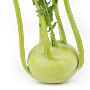 Op de afbeelding: Een verse koolrabi met een ronde, lichtgroene bolvormige basis. Verschillende lange, slanke, lichtgroene stengels steken omhoog vanaf de bovenkant van de bol, elk eindigend in kleine, getande groene bladeren. Het oppervlak is glad.