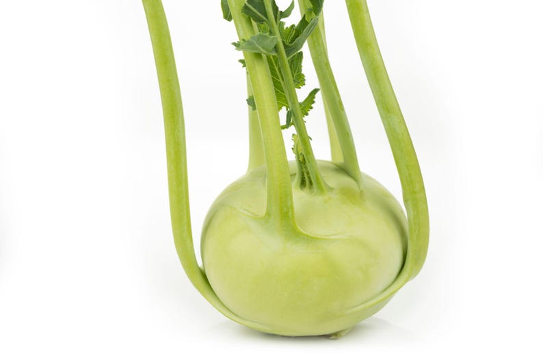 Op de afbeelding: Een verse koolrabi met een ronde, lichtgroene bolvormige basis. Verschillende lange, slanke, lichtgroene stengels steken omhoog vanaf de bovenkant van de bol, elk eindigend in kleine, getande groene bladeren. Het oppervlak is glad.