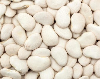 Más de 10 semillas grandes de habas blancas, Phaseolus lunatus, habas blancas grandes, habas gigantes