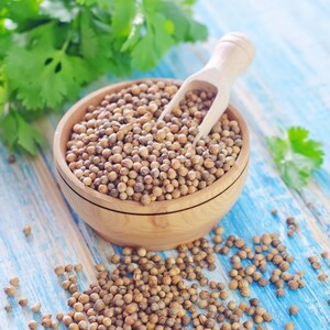 150+ Coriander Seeds, Coriandrum sativum, Cilantro Herb, Kinza image 4