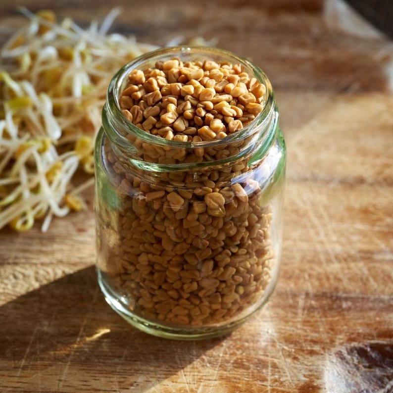 100+ Fenugreek Seeds, Trigonella foenum-graecum, Methi Herb, Culinary Herb image 8