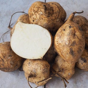 Pu&ograve; includere: Un gruppo di radici di jicama con buccia color marrone chiaro, consistenza cartacea e steli sottili e fibrosi. Una radice &egrave; tagliata a met&agrave;, rivelando una polpa interna bianca, solida e liscia. Le radici sono tondeggianti con tracce di terra.