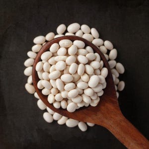 10-30 Sementes de Feijão Branco (Phaseolus vulgaris), Feijão Branco, Feijão Branco Pequeno imagem 2