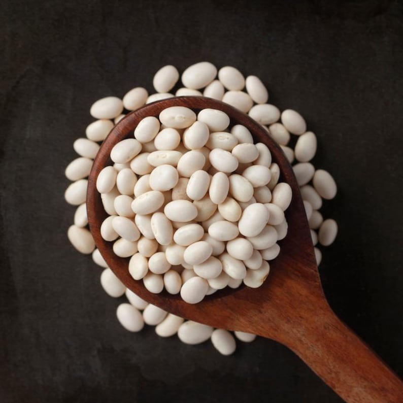 10-30 Sementes de Feijão Branco (Phaseolus vulgaris), Feijão Branco, Feijão Branco Pequeno imagem 2