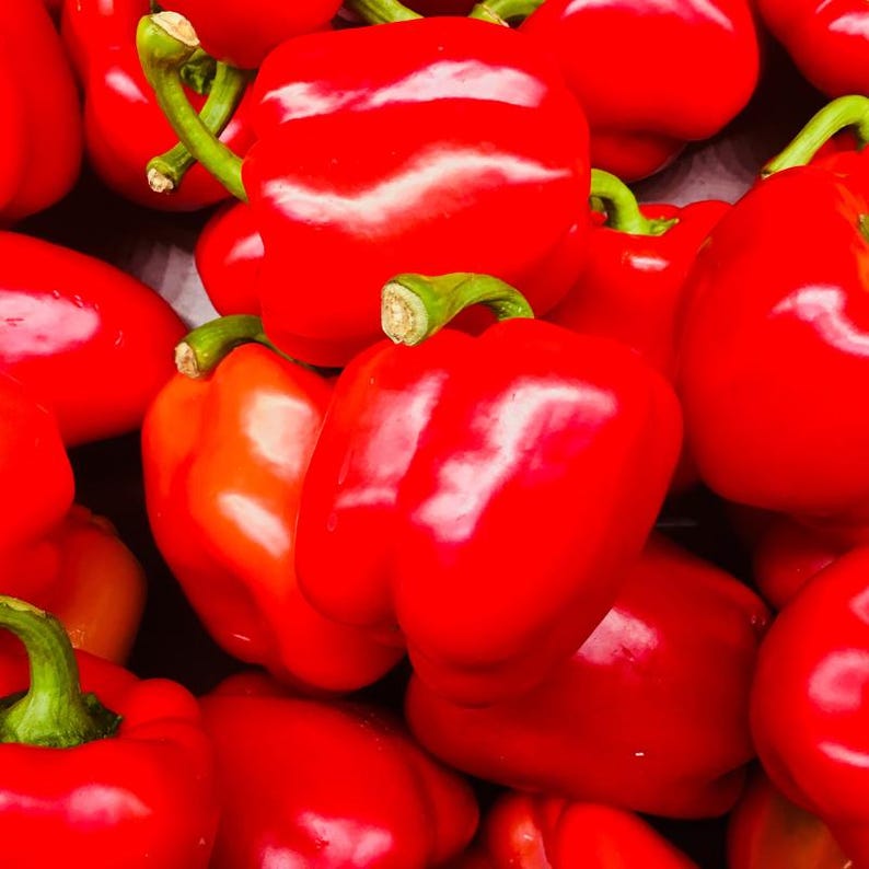 Más de 20 semillas de pimiento rojo dulce, Capsicum annuum, pimiento rojo, pimiento dulce suave. imagen 10