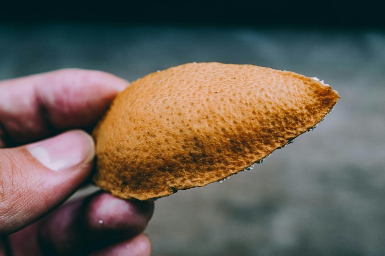 May include: A single, curved piece of orange citrus peel with a textured, porous outer surface. The peel is golden-orange in color, showing a distinct pitted rind structure on the exterior and a thin, white, fibrous layer along the inner edge.
