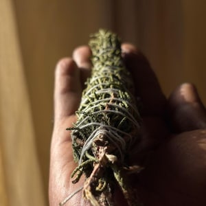May include: A bundle of dried green cedar foliage tightly wrapped with thin white cotton string. The cylindrical arrangement features textured, needle-like leaves and woody stems, secured in a spiral pattern along the length of the botanical bundle.