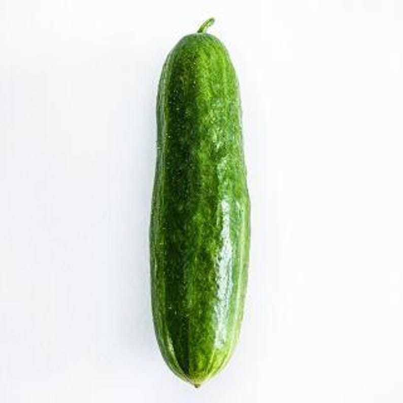 May include: A single fresh cucumber with a vibrant green, bumpy skin and a small stem at the top. The vegetable has a cylindrical shape with slightly tapered ends, showcasing a natural, glossy texture and a deep green colour throughout its surface.