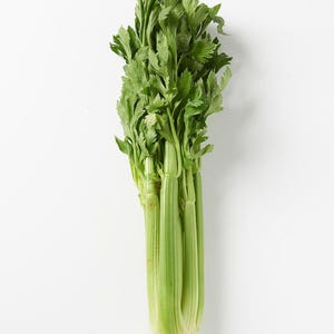 Oltre 500 semi di sedano alto dello Utah, Apium graveolens, sedano verde, ortaggio da giardino immagine 3