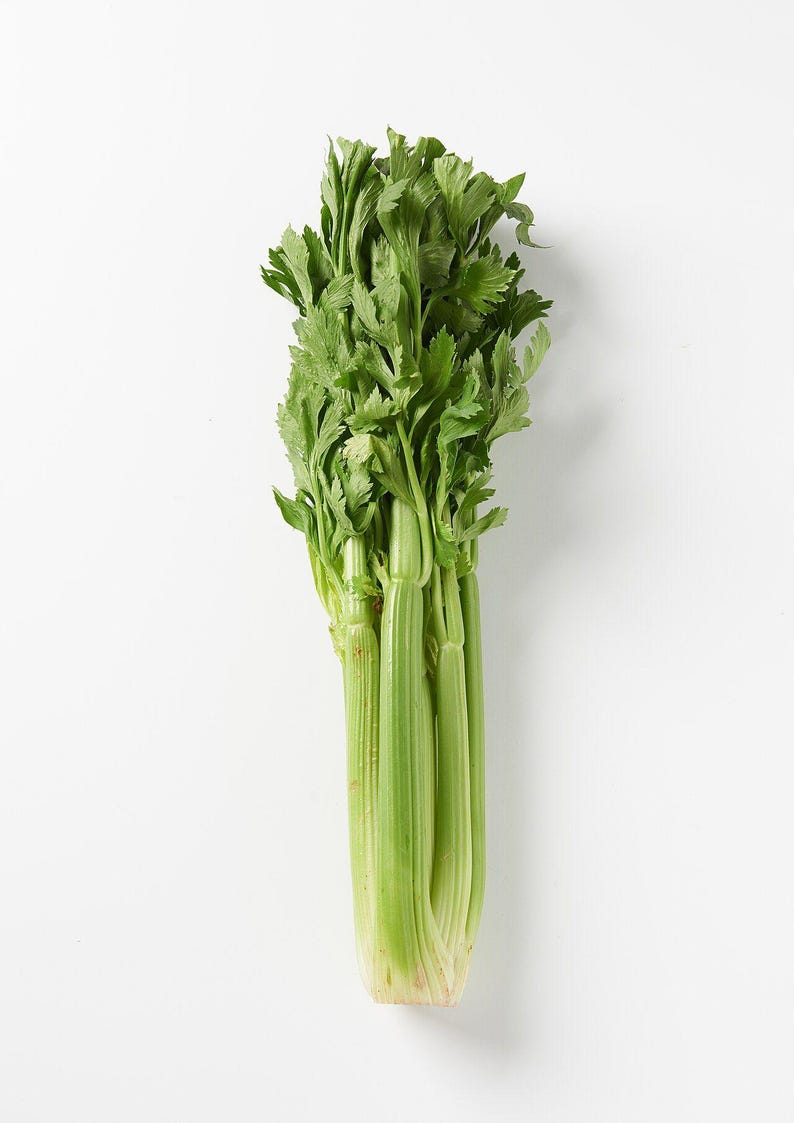 Oltre 500 semi di sedano alto dello Utah, Apium graveolens, sedano verde, ortaggio da giardino immagine 3