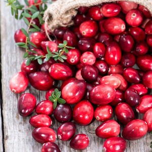 30-100 nasion żurawiny, Vaccinium macrocarpon, żurawina amerykańska, roślina o czerwonych jagodach zdjęcie 5