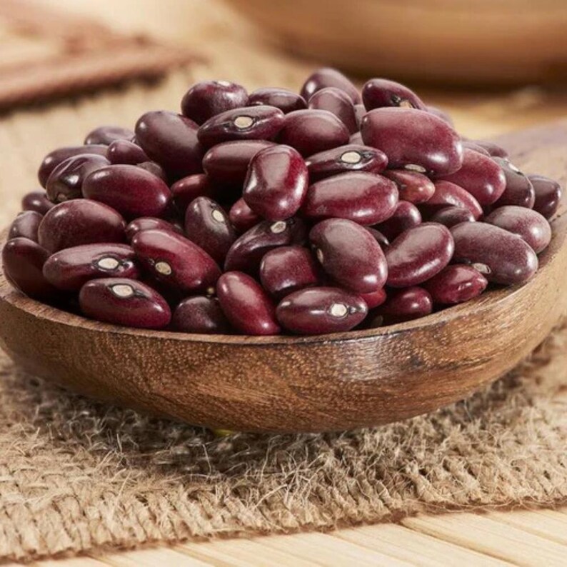 10-30 Jammu Rajma Bean Seeds, Phaseolus vulgaris, Bhaderwah Rajma, Himalayan Kidney Beans image 6