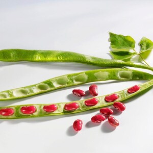 10-30 Jammu Rajma Bean Seeds, Phaseolus vulgaris, Bhaderwah Rajma, Himalayan Kidney Beans image 4