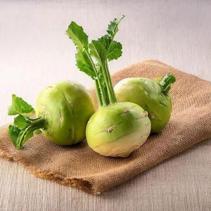 以下が含まれることがあります： 滑らかな淡い緑色の皮と、上部から伸びる鮮やかな緑色の葉を持つ3つの新鮮なコールラビの球根。各球根は丸みを帯びたわずかに平らな形状をしており、茎の付け根が見え、野菜の自然な質感が表現されています。