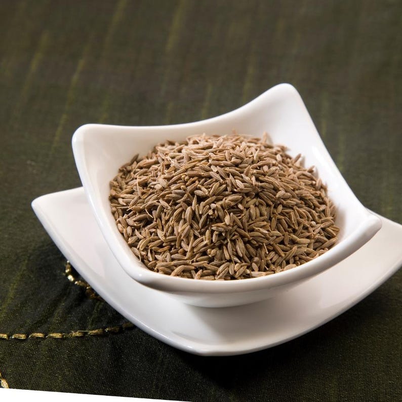 500+ Cumin Seeds, Cuminum cyminum, Jeera Spice Herb image 7