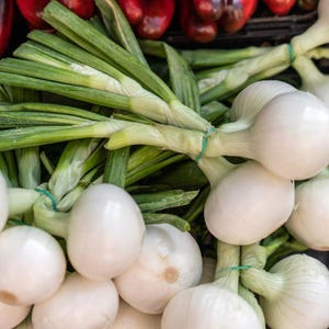 50+ White Onion Seeds, Allium cepa, Garden Vegetable image 6