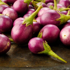 Más de 300 semillas de berenjena redonda morada, Solanum melongena, berenjena redonda morada, berenjena imagen 5