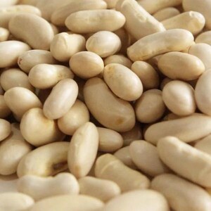 K&ouml;nnte beinhalten: Eine gro&szlig;e Ansammlung getrockneter wei&szlig;er Bohnen, die jeweils eine glatte, nierenf&ouml;rmige Form mit einer matten, cremewei&szlig;en Oberfl&auml;che aufweisen. Die Bohnen liegen in einem dichten Haufen beieinander und zeigen ihre einheitliche Gr&ouml;&szlig;e.