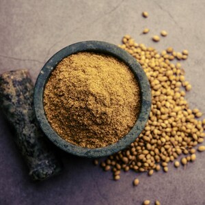 150+ Coriander Seeds, Coriandrum sativum, Cilantro Herb, Kinza image 8